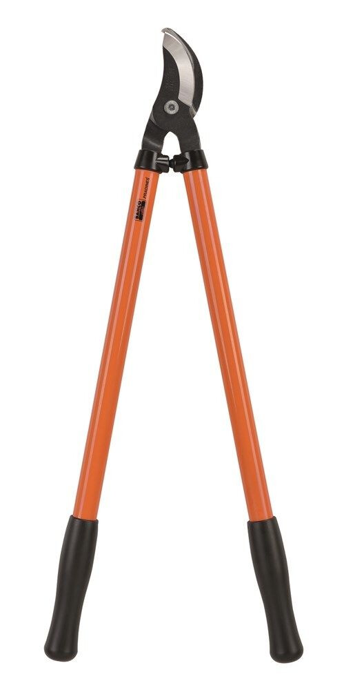 TAKKENSCHAAR PAPEGAAIBEK ORANJE