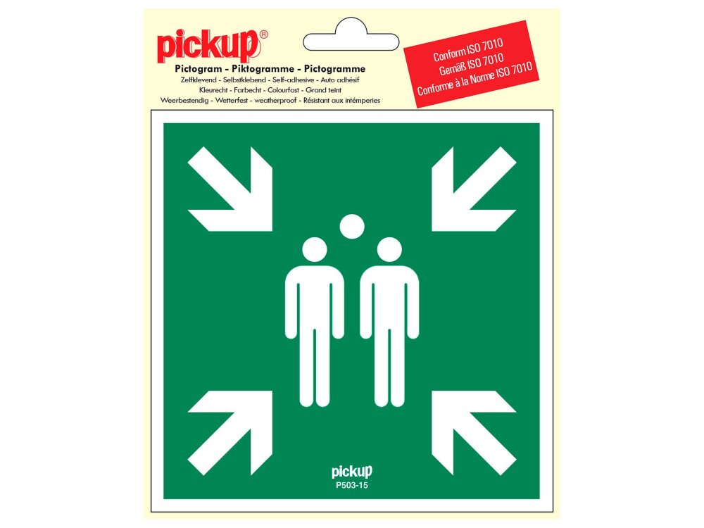 PICTOGRAM VINYL 15X15 VERZAMELPLAATS