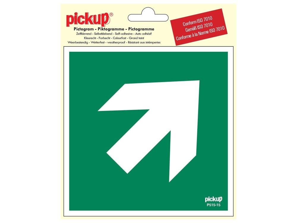 PICTOGRAM VINYL 15X15 RICHTINGSPIJL 45