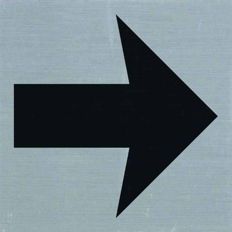 PICTOGRAM 80X80MM PIJL