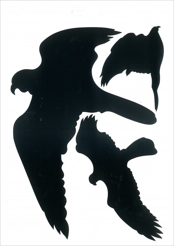 VOGELS ZWART