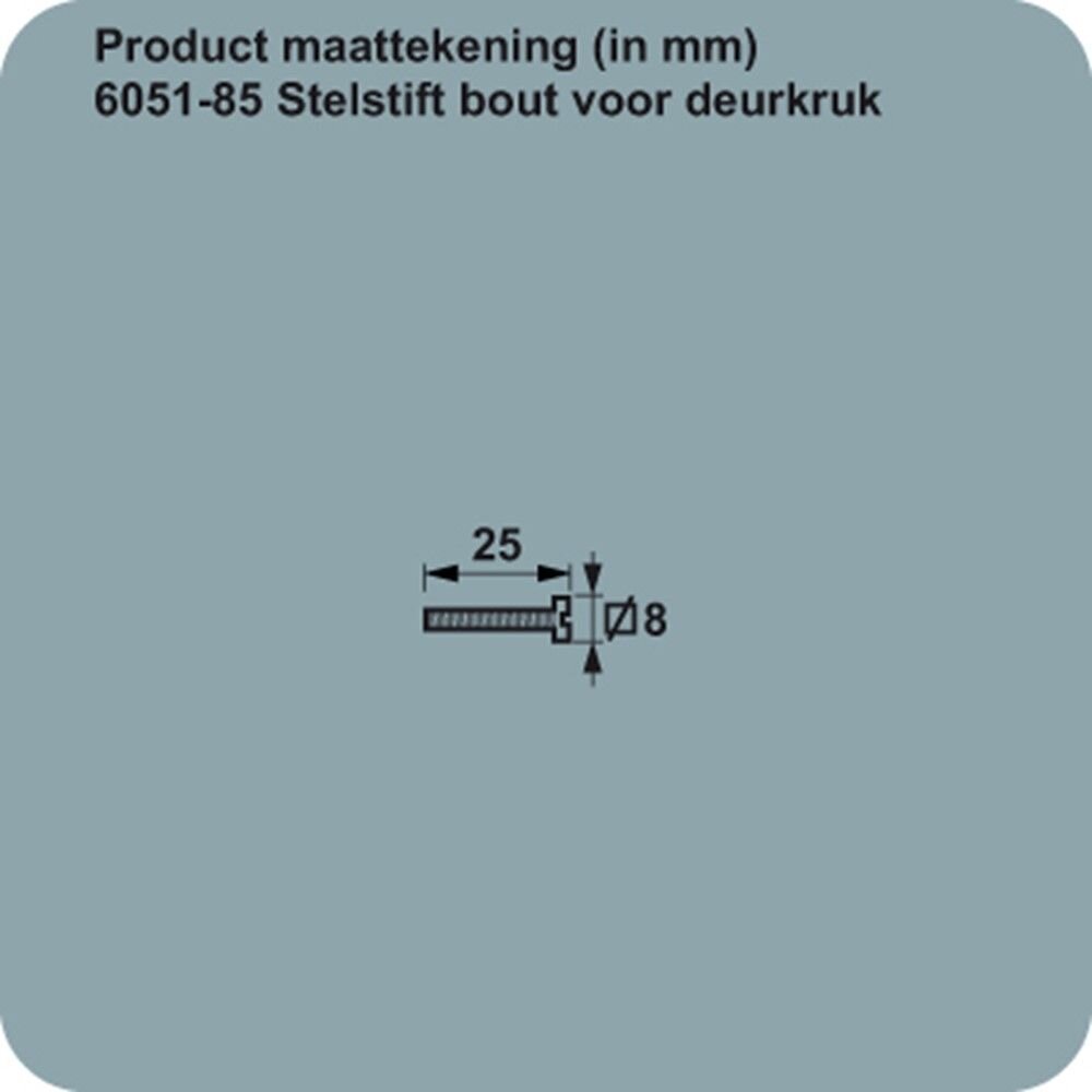 STELSCHROEF VOOR DEURKRUK M5 X 25MM