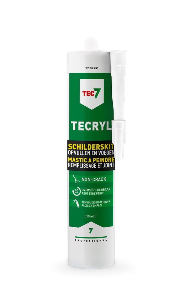 SCHILDERSKIT TECRYL WIT 310 ML