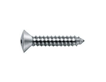 PLAATSCHROEF DIN7983 C PH2 RVS A2 4,2MM X 38MM
