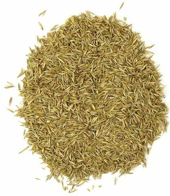 GRASZAAD 2 KG