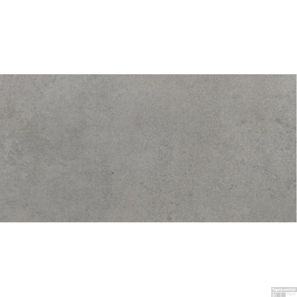 VLOERTEGEL GREY MATT 30X60