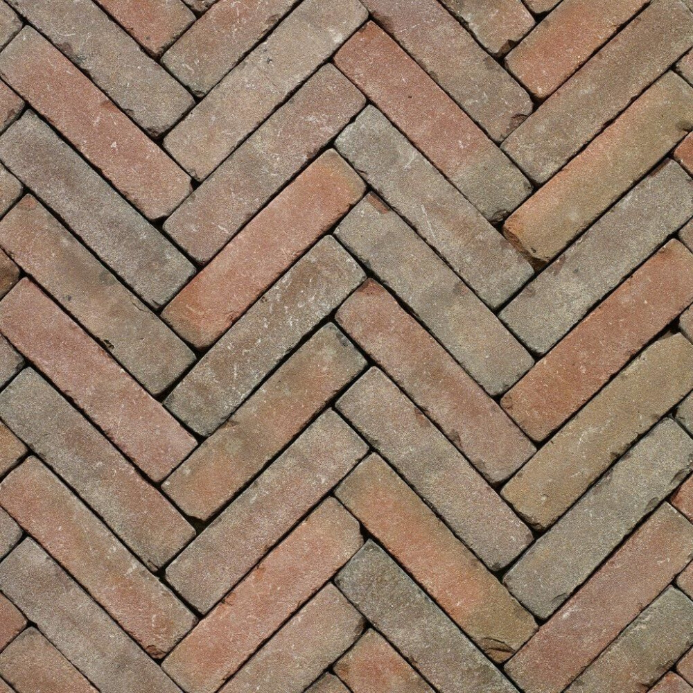 GEBAKKEN WF GETROMMELD ZEELAND 6,5CM