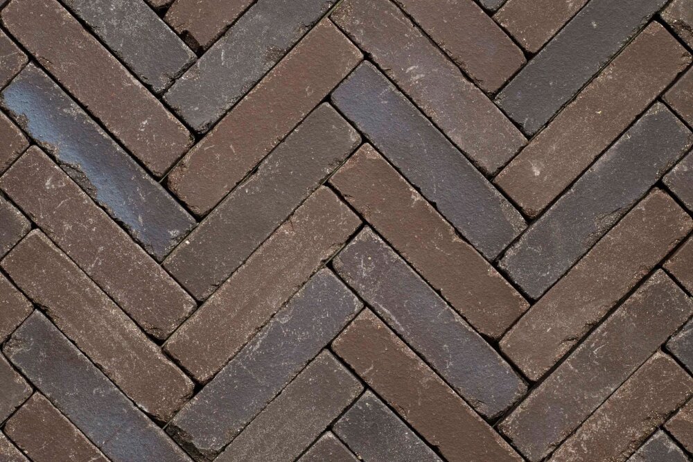 GEBAKKEN WF GETROMMELD FRIESLAND 6,5CM